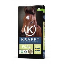 Krafft Foal