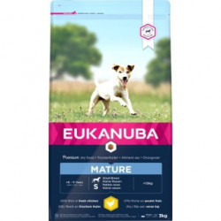 Ekanuba dog mature small breed