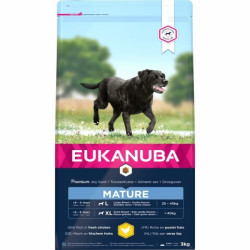 Ekanuba dog mature large breed